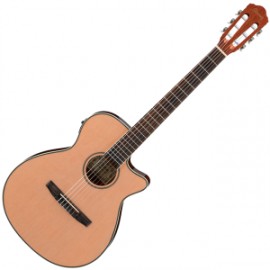 Guitarra Electroacústica Ibanez AEG8TNE-NT