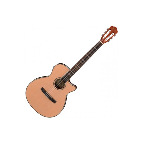 Guitarra Electroacústica Ibanez AEG8TNE-NT