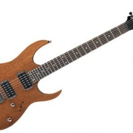 Guitarra Eléctrica Ibanez Serie RG421-MOL