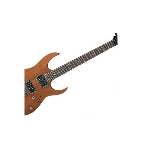 Guitarra Eléctrica Ibanez Serie RG421-MOL