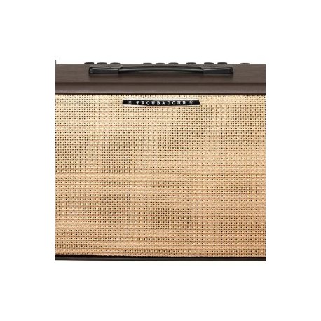 Combo para Guitarra Electroacústica Ibanez T30II-N Troubadour 30W 1X8″