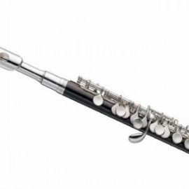 Flauta Piccolo Do Blessing Con Estuche ABS 6458IS